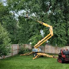 Best Lawn Watering Services  in West Bradenton, FL